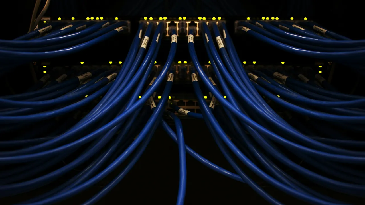 Close-up of router and network cables on an organized entertainment unit
